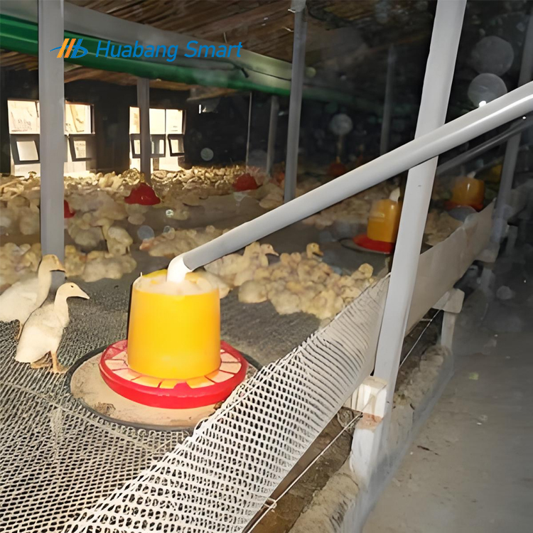 Automatic Plastic Feeding System Chicken Farm