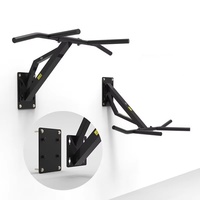 Rak Pull-Up Dip Push-Up Wellshow dengan Desain Terpisah yang Dipasang di Dinding, Peralatan Fitness