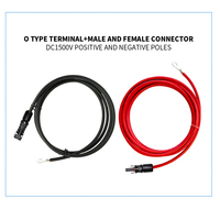 Câble d'extension solaire XLPE 4 mm IP68 0,6/1 KV CC pour centrale électrique avec connecteur solaire PV