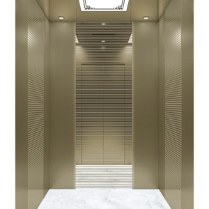 Ascensor Residencial de Bajo Ruido para Interiores/Exteriores, de 2 a 4 Pisos, con Tracción Eléctrica, para Viviendas Pequeñas, con Cabina para 4-6 Personas, el Más Vendido - Product Image 4