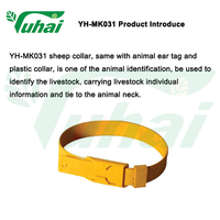 Sapi, domba, dan kuda dapat membedakan dengan gaiter warna pilihan dengan tali leher dan kerah kambing