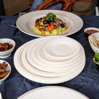 Assiettes en papier jetables de fête ovales biodégradables en bagasse compostable de 12 pouces