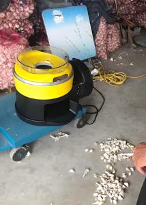 价格便宜的大蒜灯泡破碎机大蒜灯泡分离器大蒜加工机 - Product Image 4
