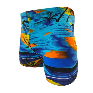 Maillot de bain imprimé pour hommes, short de bain à séchage rapide, pour la natation, les sports nautiques, taille adulte, couleur aléatoire - Product Image 3