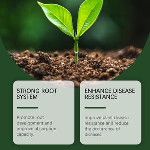 MoonSpry organik bitki kök arttırıcı toz - Product Image 3