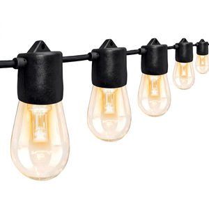Guirnalda de Luces LED G40 de 25 pies/50 pies, con Carcasa de Vidrio Resistente a Impactos, IP44 Impermeable, Sensor de Movimiento, Recargable, Funciona con Batería, Decoración Luminosa - Product Image 1