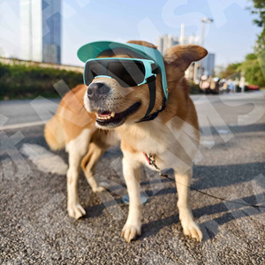 Dog Sun <b>Hat</b> And Goggles Set Summer Outdoor Lightweight Pet Eye Protection <b>For</b> Small <b>Animals</b> With Adjustable Fit - Product Image 2