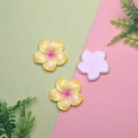 100 pezzi nuovi graziosi cabochon in resina a fondo piatto con fiori Color gelatina