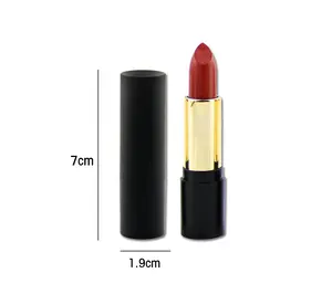 Magic Private Label Organic Healthy Ever Beauty Lipstick