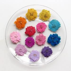 Hirondelles teintées, fleur séchée pied-de-poule fleur pressée bricolage signets en relief, étui de téléphone portable fleur séchée à la colle - Product Image 2