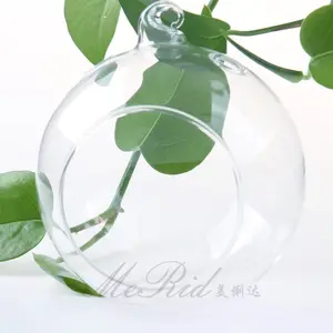 Colgante globo de cristal terrario perfecto para plantas de aire