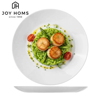 Assiettes en verre <span class=keywords><strong>opale</strong></span> de 10 pouces en gros – Vaisselle blanche en <span class=keywords><strong>opale</strong></span> pour pâtes, pizzas, desserts – Plats et assiettes blanches en verre trempé - Product Image 1