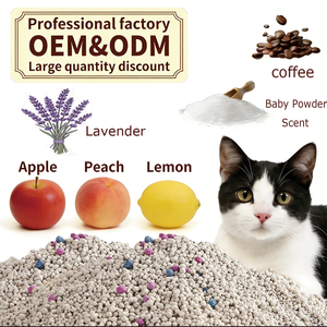 Lettiera per Gatti BENJIE di Alta Qualità, Biodegradabile, Ecologica, Altamente Assorbente, Agglomerante Rapida, Multi-Fragranza, Senza Polvere - Product Image 4
