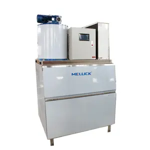 Industrial Ice Making Machines 1/2/3/5/8/10Ton Flake Ice Machine For Fish