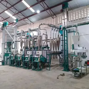 Beliebte 30 Tonnen pro Tag Maismehl verarbeitung anlage Mühlen maschinen mit Automatik