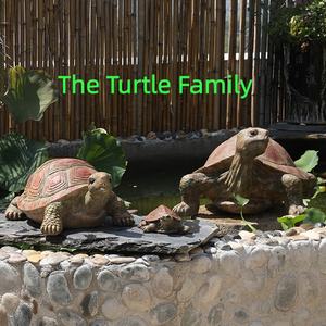 Fuente de Tortuga de Resina, Decoración de Jardín para Exteriores, Estatua con Agua para Patio, Regalo para Amantes, Atrae la Suerte y la Prosperidad - Product Image 5