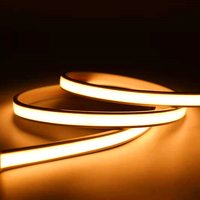 Ultra-mince 10*3.5mm COB Strip Light Dual Color Tube d'extrusion de cuivre étanche IP67/IP68 LED sans point Flexible néon sans taches