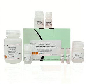 مسحوق بلوري أبيض HPLC L-Tryptophan من الأحماض الأمينية الكربوكسيلية الأساسية للبحث عن الكواشف الكيميائية الحيوية CAS 73-22-3 - Product Image 5