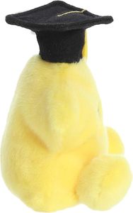 Peluche a Forma di Stella per Laurea, Giocattolo Antistress Giallo Ricamato, Cappello di Laurea in Peluche per Regali di Laurea - Product Image 6