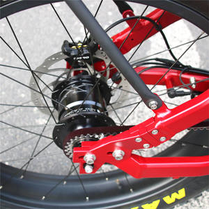 Warthog Hunting Ebike Fat Tire Vélo électrique <span class=keywords><strong>Rohloff</strong></span> <span class=keywords><strong>Moyeu</strong></span> 14 vitesses avec moteur Bafang M630 Entraînement par courroie VTT tout Terrain - Product Image 5