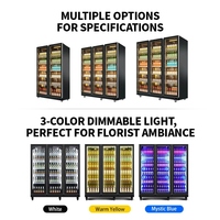 Vitrine Réfrigérée Commerciale à Température Unique avec Écran LED, Congélateur à Bière 2 Portes Grande Capacité en Acier Inoxydable 201 de Haute Qualité
