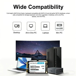 Nandstor Factory MSATA SSD 64GB 1TB SSD interne OEM Interface M-SATA M.2 SSD Disque SSD SATA Disques durs internes - Product Image 2