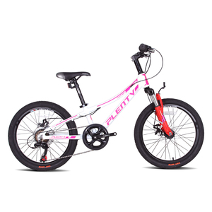 12-18inch Single Speed Steel <b>Frame</b> Stunt Rim 120kg Load Capacity Training Wheels for Children Nsy01 Water - Product Image 1
