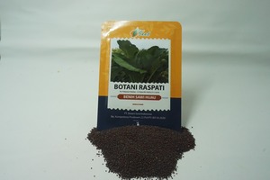 โบตานี ราสปาตี: ผู้จัดจำหน่ายเมล็ดผักชีฝรั่งพันธุ์ให้ผลผลิตสูง ไม่ขม - Product Image 4