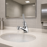 Robinet de lavabo à temporisation à succès, idéal pour les hôtels, les écoles, les centres de détention, etc.