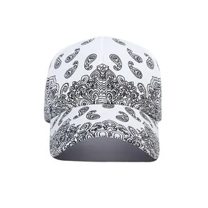 2023 European and American Punk Style Paisley Printed Cap Hip Hop Baseball Cap Snapback Dad Hat