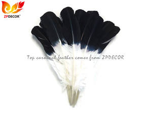 ZPDECOR <span class=keywords><strong>Piume</strong></span> d'Aquila Arrotondate d'Ala <span class=keywords><strong>di</strong></span> Tacchino <span class=keywords><strong>Bianche</strong></span> con Punta Nera all'Ingrosso dalla Fabbrica per Abiti da Festa a Tema Carnevale - Product Image 2