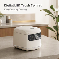 Autocuiseur Électrique Multifonction 2L à Contrôle Tactile, Faible Teneur en Sucre, Boîtier en Plastique, Usage Domestique, avec Tasse Mesureuse