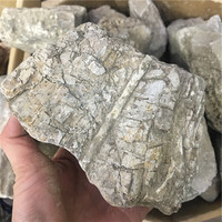 Fósil de hueso de dinosaurio Natural a granel, piedra de cristal para colección, venta al por mayor