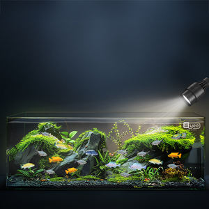 Tanque de aquário de tamanho grande personalizável, tanque de aquário com baixo teor de ferro e vidro transparente, tanque de água salgada para peixes - Product Image 1