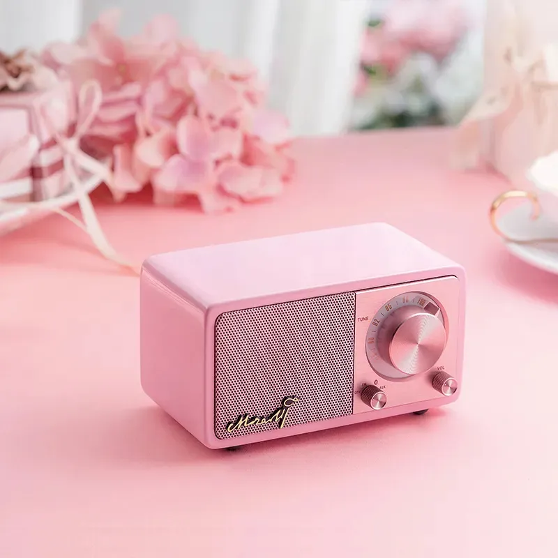 Vollbeutel rosa Geburtstagsgeschenk elektrischer Lautsprecher tragbarer Sprachrekorder FM-Radio