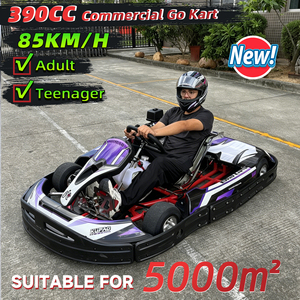 Kart à pédales à essence 4 temps 390CC monoplace pour adultes et adolescents, propulsion arrière, réglable, 85 km/h - Product Image 1