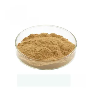 Herbal Extract Siberian Ginseng Extract Powder Acanthopanax Senticosus Saponins