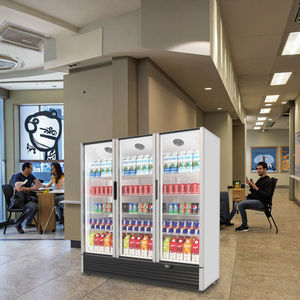 Réfrigérateur congélateur commercial d'affichage <span class=keywords><strong>de</strong></span> boissons <span class=keywords><strong>de</strong></span> supermarché avec <span class=keywords><strong>porte</strong></span> en verre verticale <span class=keywords><strong>de</strong></span> refroidissement d'air et <span class=keywords><strong>de</strong></span> ventilateur pour le stockage <span class=keywords><strong>de</strong></span> boissons froides - Product Image 5