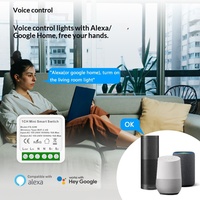 Módulo de Relé Inteligente WiFi Tuya, Control Remoto Inalámbrico, Temporizador, Control por Voz a través de Aplicación, Material de PC Ignífugo, para el Hogar