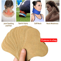 Patchs de massage à l'armoise pour soulager les douleurs musculaires, articulaires et du genou – Soin nourrissant à base de plantes – Offre spéciale