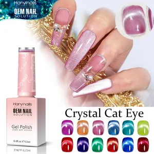 12 Color Cat Eye Gel Polish Set OEM Customized Private Label UV LED Wholesale Gel Polish Cat Eye Gel