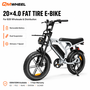 Bicicleta eléctrica de montaña QMWHEEL V20 Limited 48V, bicicleta eléctrica con llantas gruesas para mayoristas, suministro a depósitos en el extranjero, OEM, ODM - Product Image 1