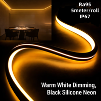 Bande LED néon noire 24V Ra95 à intensité variable, double blanc intelligent, 1800K-3000K, IP67, lumière douce pour chambre d'hôtel et éclairage d'ambiance