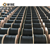 Excelente cable de fibra óptica de tipo plano arco plano tipo 2 núcleos 12 cable de fibra óptica de caída FTTH de fibra