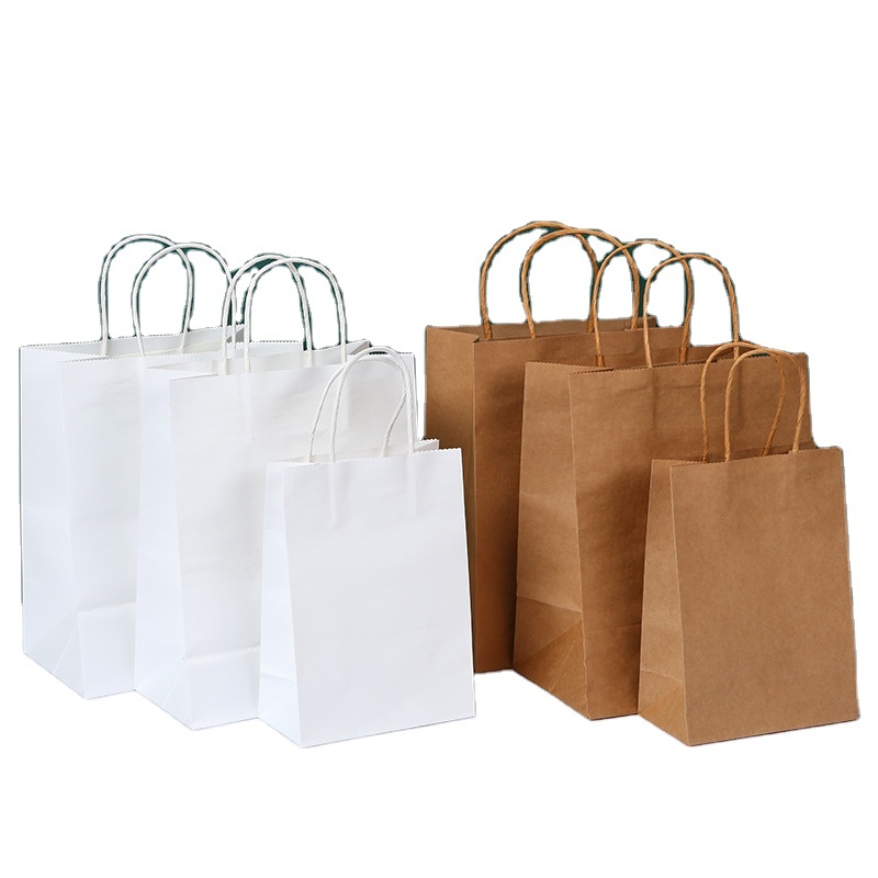 Biodegradable Art Paper Shopping Bag for