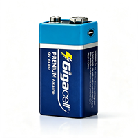 Fournisseur de marques OEM, piles alcalines de qualité supérieure 9 volts, durée de conservation de 5 ans, piles carrées 6LR61 pour détecteurs de fumée, appareils photo numériques