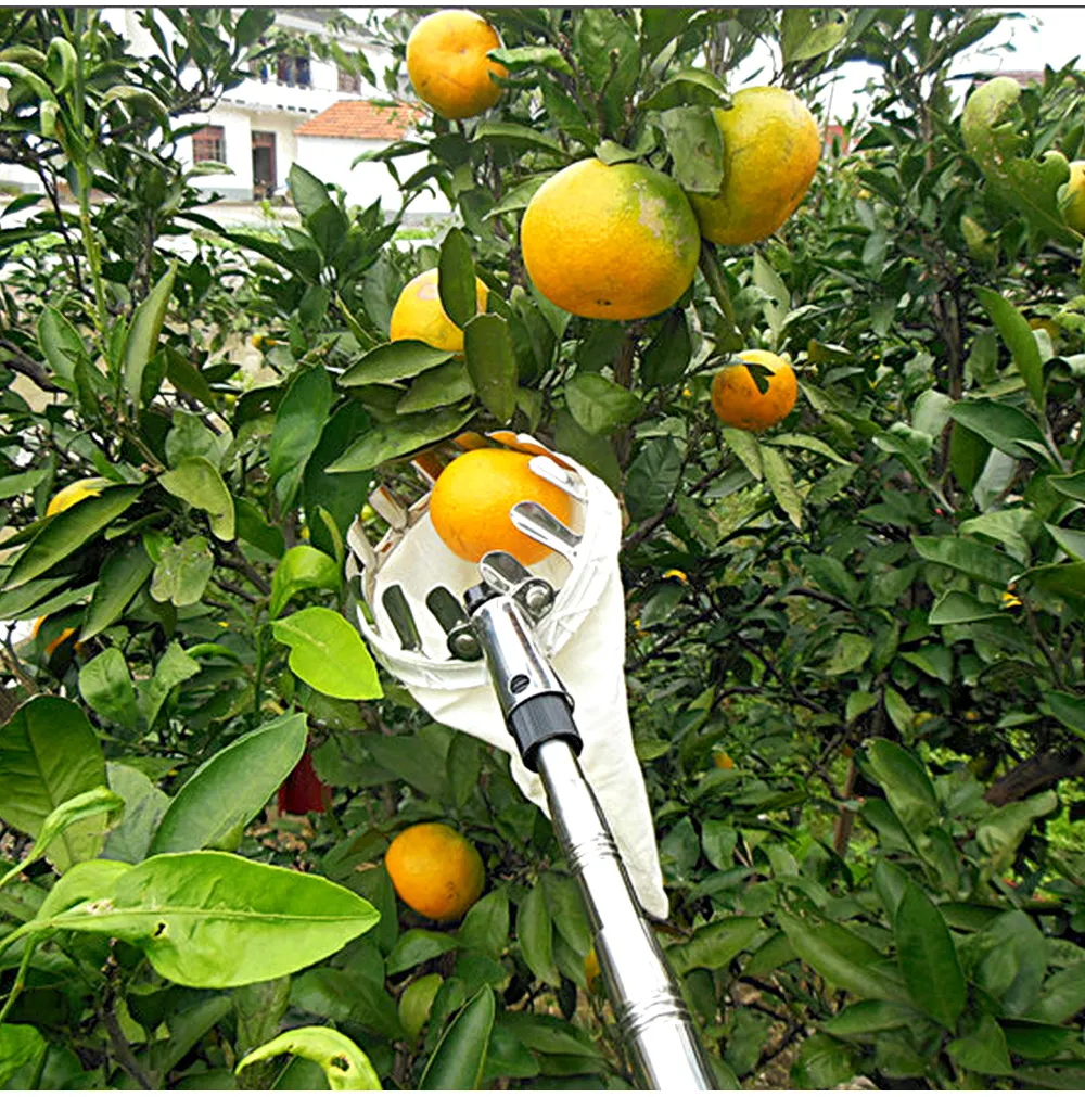 Metal Orchard Head Basket Catcher Apple Peach Fruit Collector Farmer Handle Tool Fruit Picking Tool Garden Fruit Picker