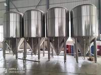 Fermenteur en acier inoxydable pour brasserie avec cuve sous pression de 200L à 2000L