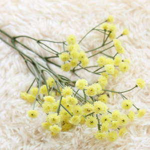INUNION Hoa Giả Hình Hoa Gypsophila Màu Trắng Dài Chạm Tay Thật Trang Trí Đám Cưới Tại Nhà Bán Sỉ Nhà Máy - Product Image 2