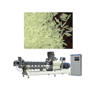 Fabriqué en Chine Jinan DG 500 kg/h Fortifiée riz Extrudeuse Machine/Riz Nutritionnel ligne de Production